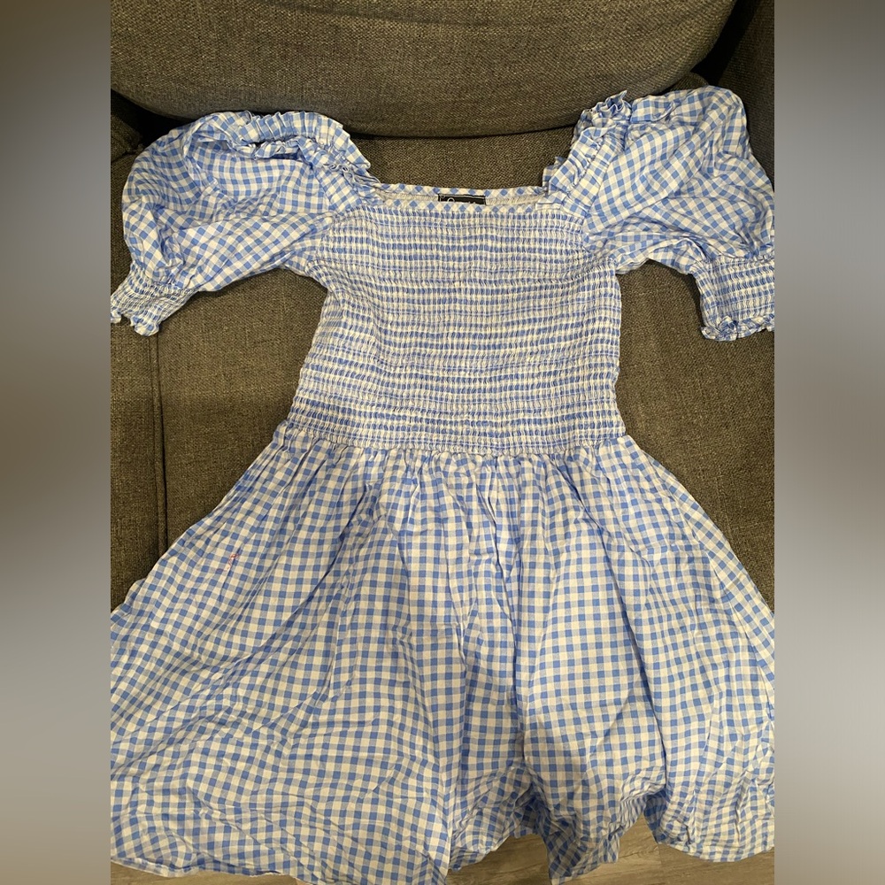USED Everlily Gingham Blue Dress